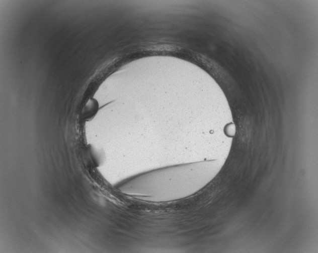 X0000082170731200702162300