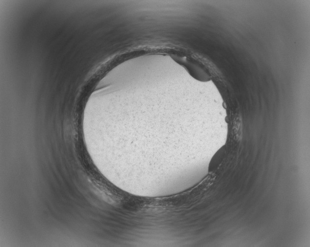 X0000082170732200702162300