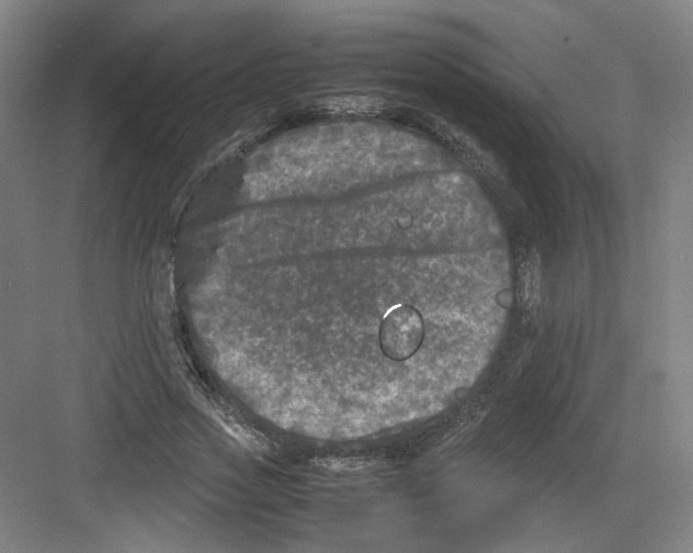 X0000082170733200702162300