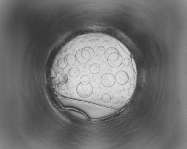 X0000082170734200702162300