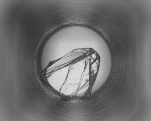 X0000082170736200702162300