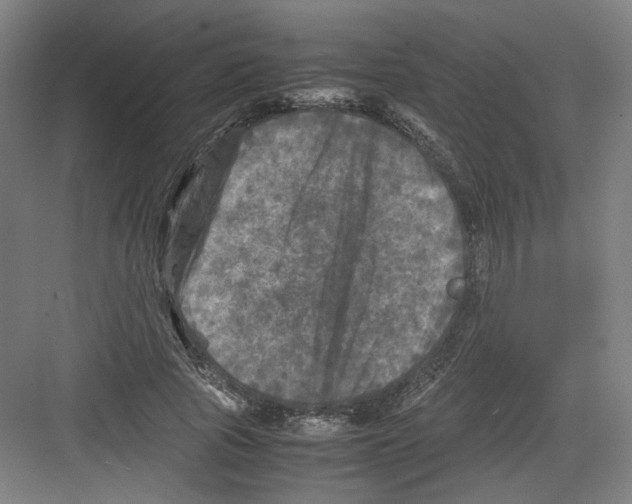 X0000082170737200702162300