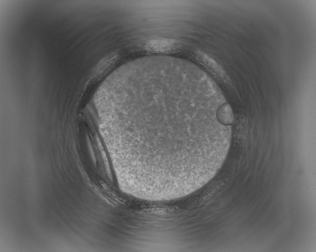 X0000082170738200702162300