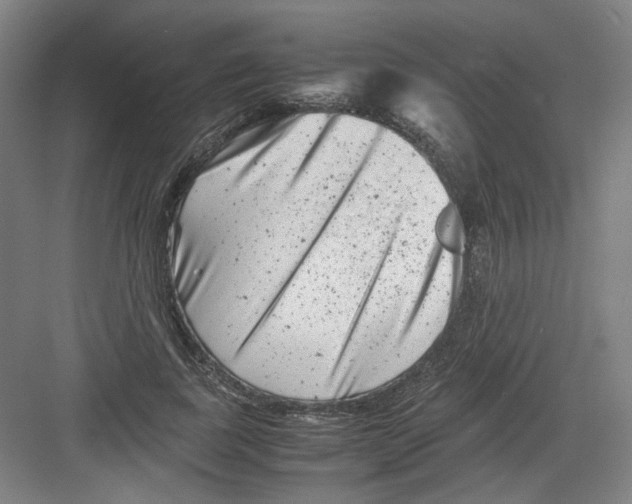 X0000082170739200702162300