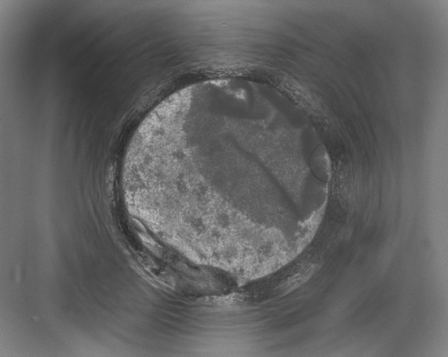 X0000082170742200702162300