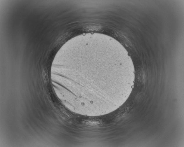 X0000082170743200702162300