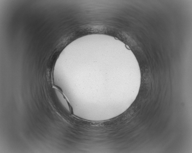 X0000082170744200702162300