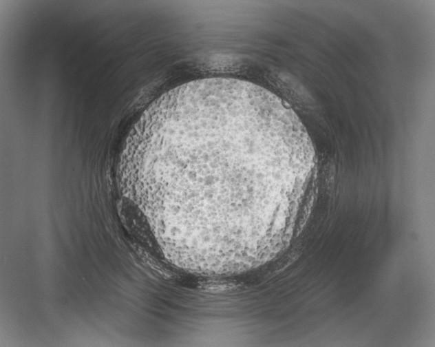 X0000082170746200702162300