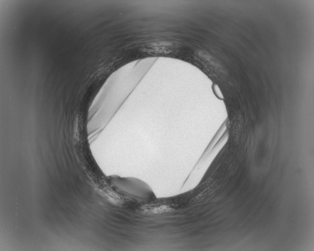 X0000082170747200702162300