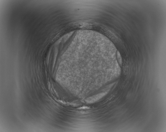 X0000082170748200702162300