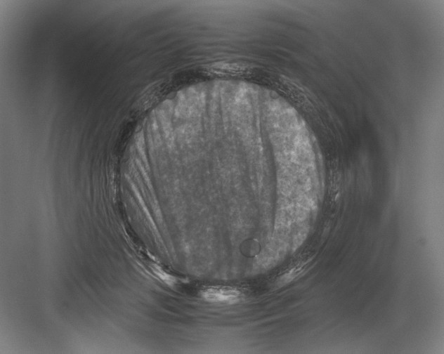 X0000082170749200702162300