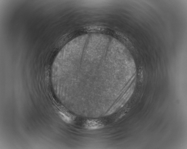 X0000082170753200702162300