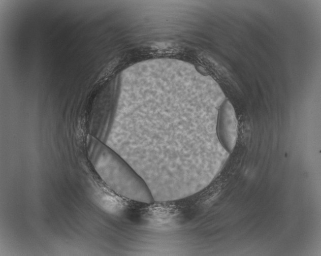 X0000082170756200702162300