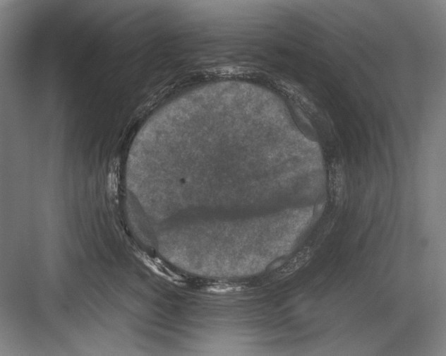 X0000082170760200702162300