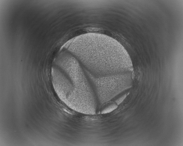 X0000082170763200702162301