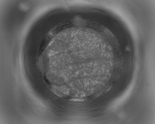 X0000082170765200702162301