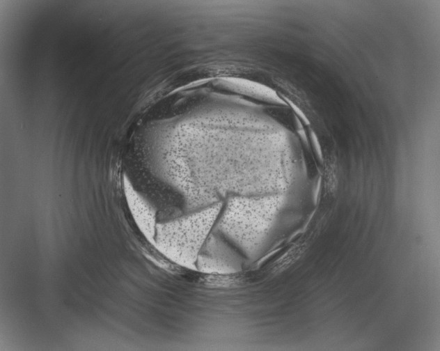 X0000082170766200702162301