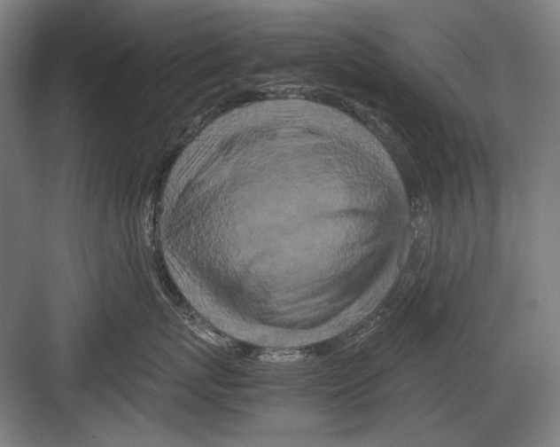 X0000082170767200702162301