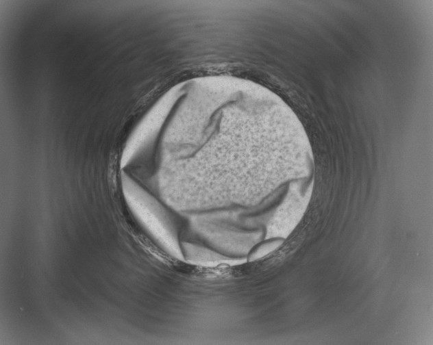 X0000082170768200702162301