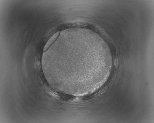 X0000082170771200702162300