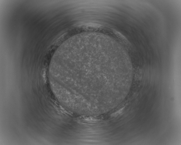 X0000082170774200702162300