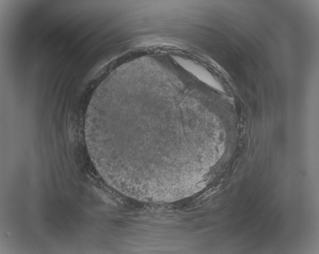 X0000082170775200702162300