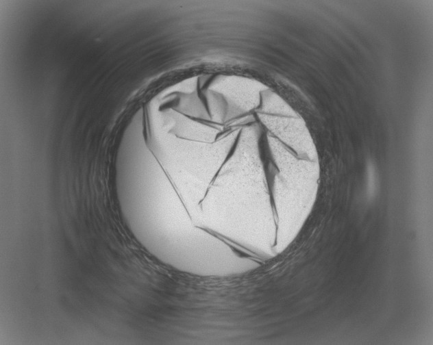 X0000082170776200702162300