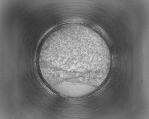 X0000082170780200702162300