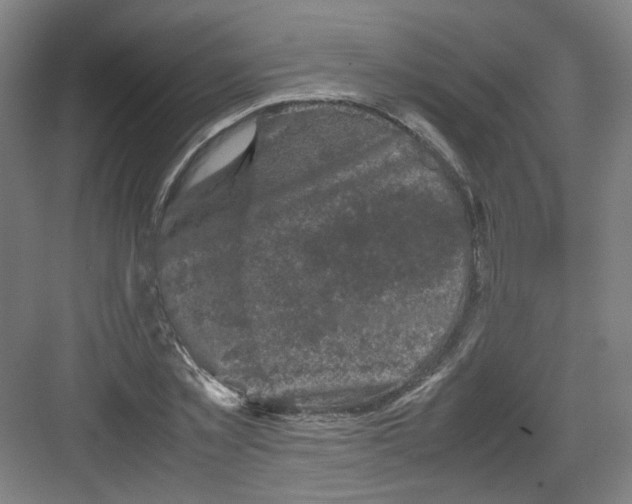 X0000082170781200702162300