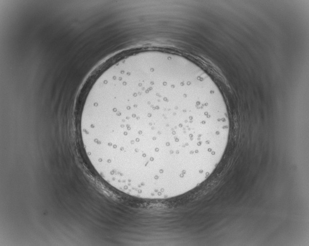 X0000082170784200702162300