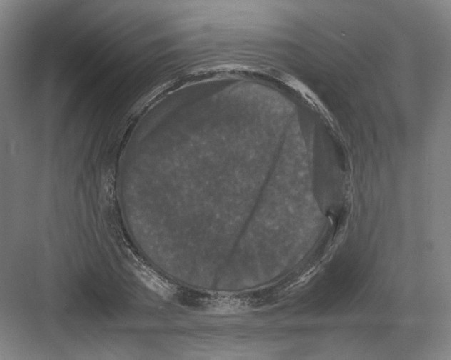 X0000082170785200702162300