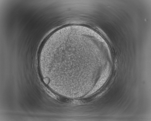 X0000082170787200702162300