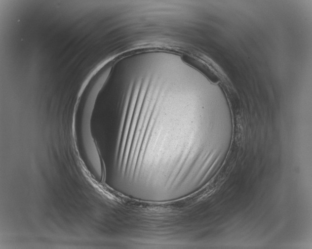 X0000082170788200702162300