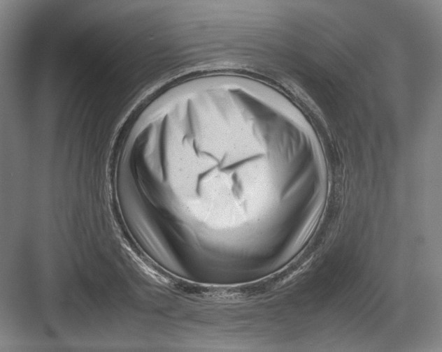 X0000082170789200702162259