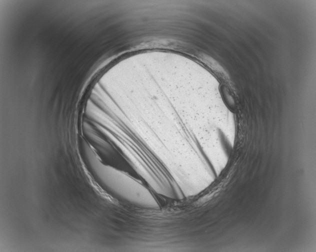 X0000082170792200702162259