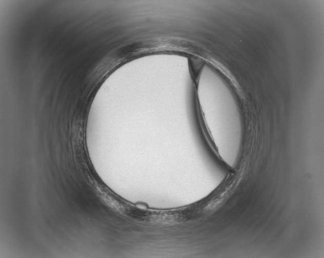 X0000082170793200702162259