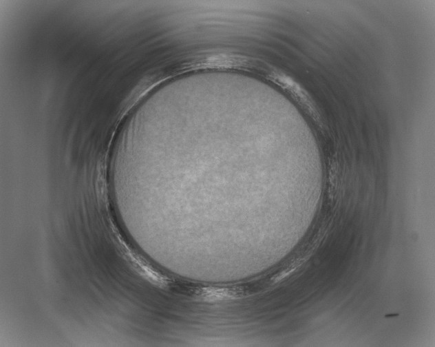 X0000082170794200702162259