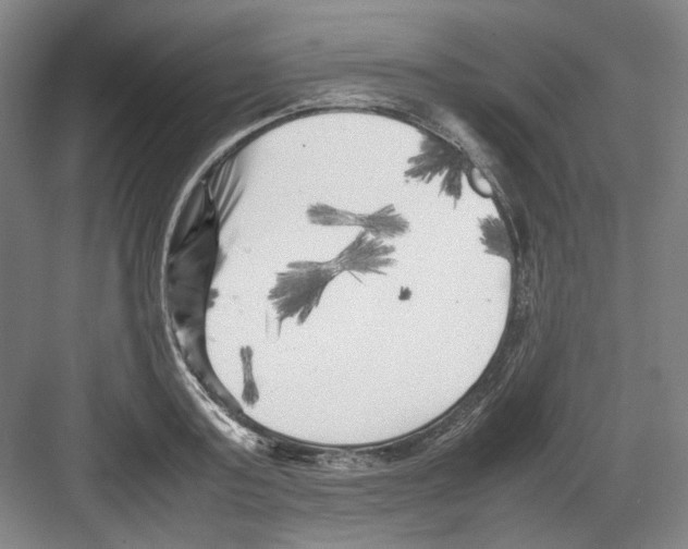 X0000082170795200702162259