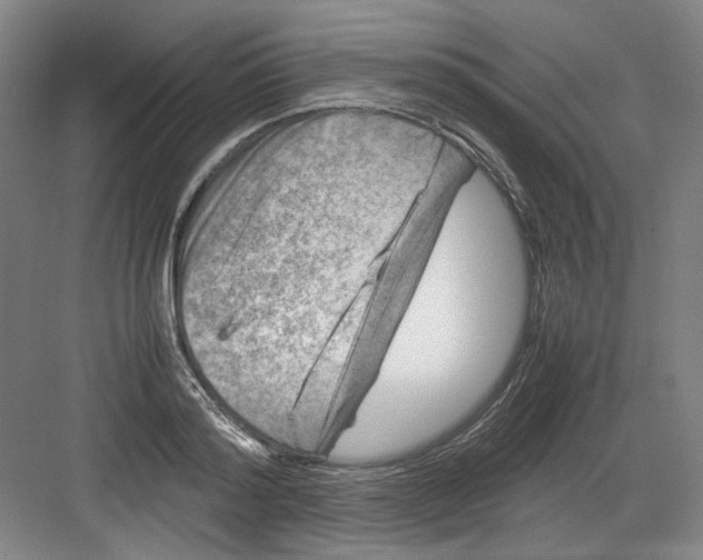 X0000082170796200702162259