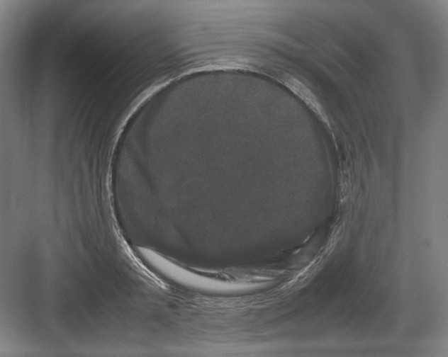 X0000082170797200702162259