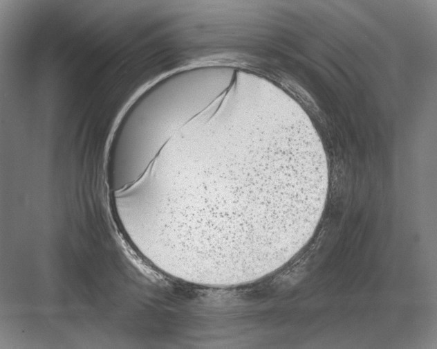 X0000082170800200702162259