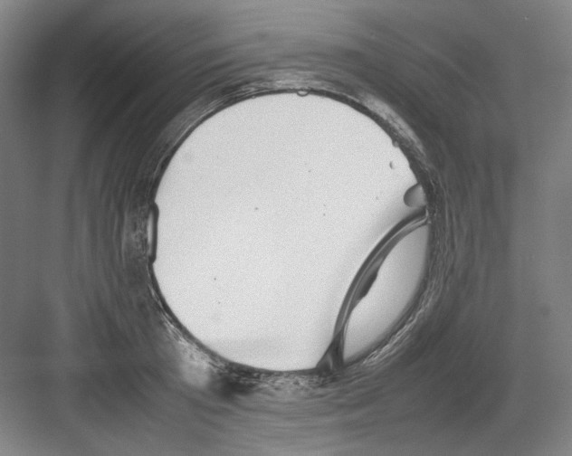 X0000082170801200702162259