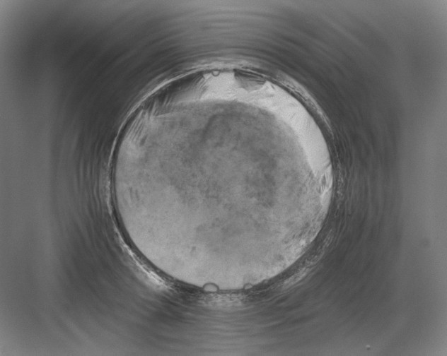 X0000082170802200702162259