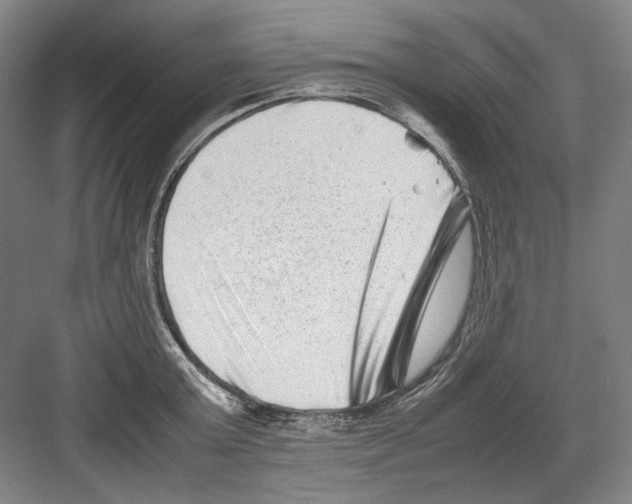 X0000082170803200702162259