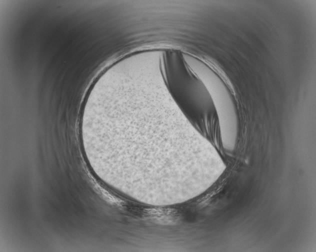 X0000082170805200702162259