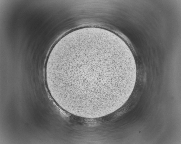 X0000082170807200702162259