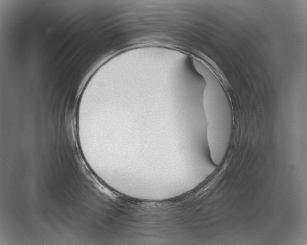 X0000082170812200702162259