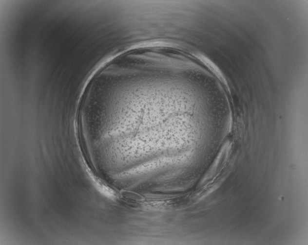 X0000082170813200702162259