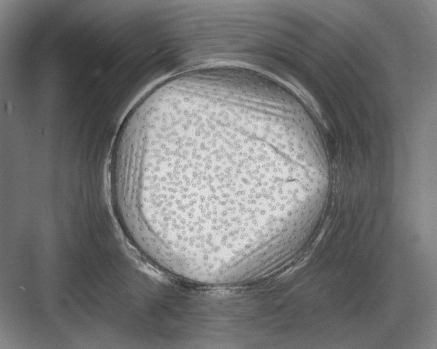 X0000082170814200702162259