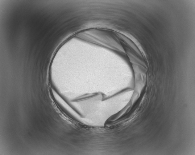 X0000082170815200702162259